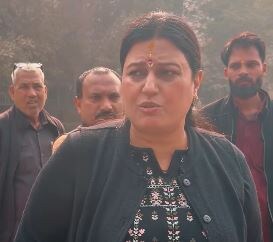 "Sports Has No Language": Delhi BJP Counsels Councillor After Language Row