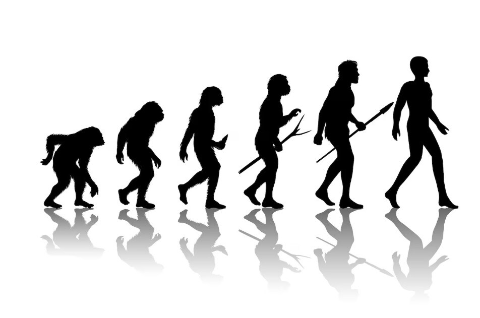 Darwin Theory Row: Govt Says Evolution Still Part Of School Science Curriculum