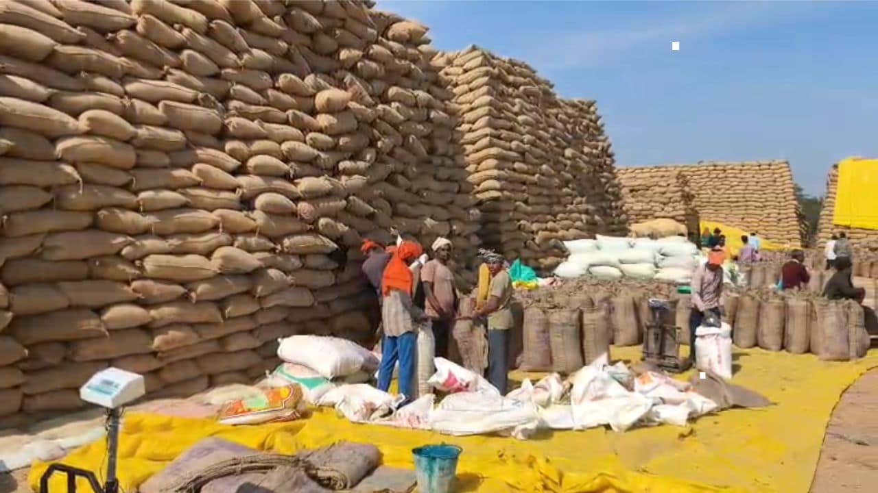 Kerala Minister Rejects Centre's Advice To Stop Incentive For Rice Cultivation