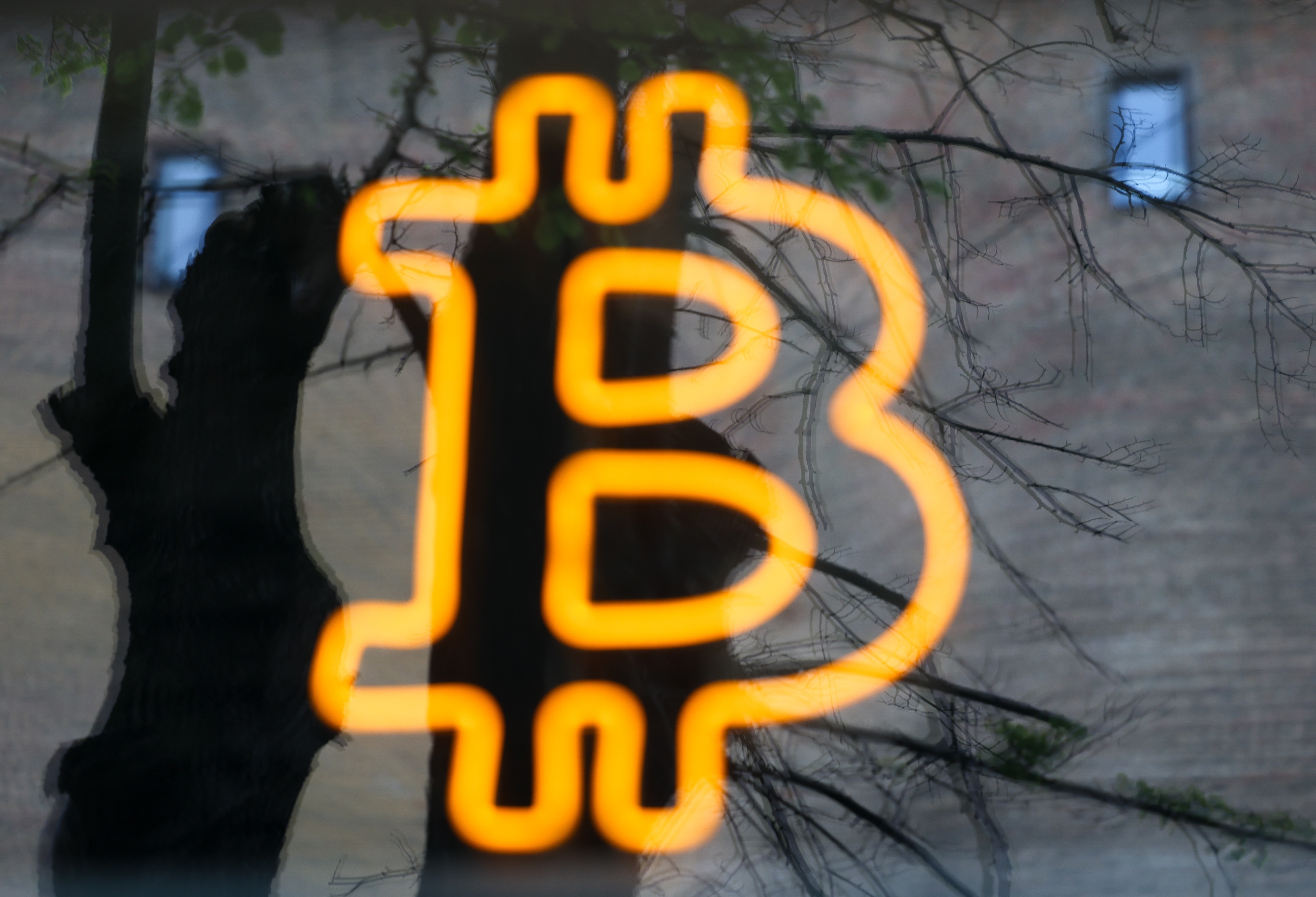 South Korean Crypto Exchange Gives Rs 3.62 Lakh Crore In Big Bitcoin Error