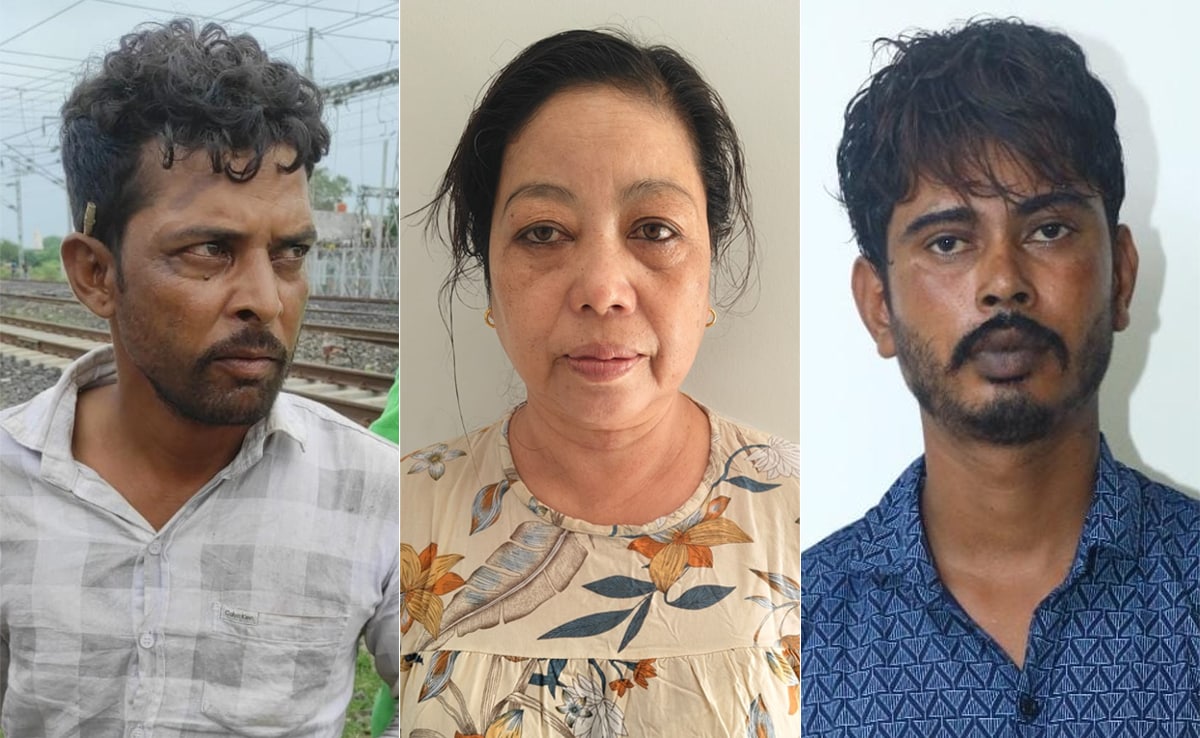 Madhya Pradesh's Tiger Crisis Deepens As Poachers Jailed, Death Count Soars