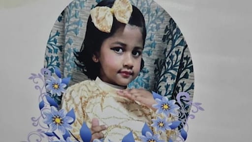 Girl, 6, Dies In Delhi Hit&And&Run, Grandmother Says 'Nobody Helped'