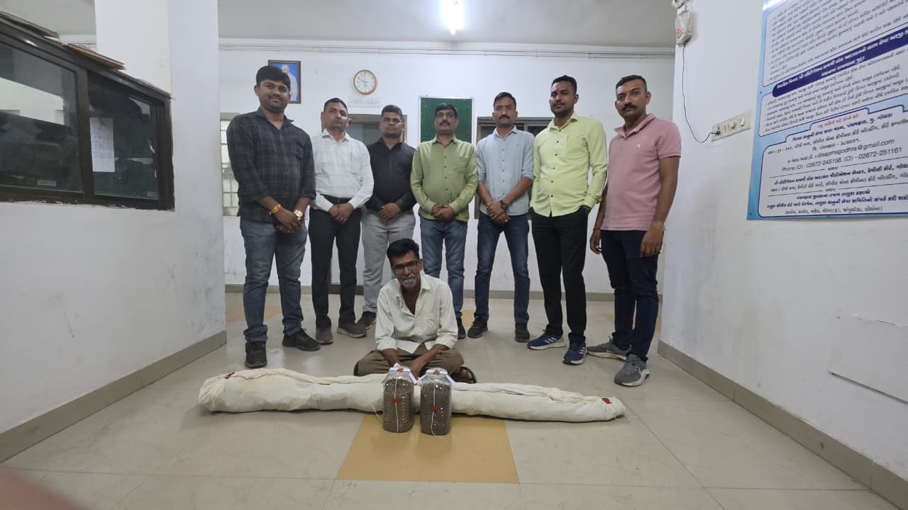 Gujarat Cops Unearth Cannabis Plantation Worth Rs 2.6 Lakh, Owner Arrested