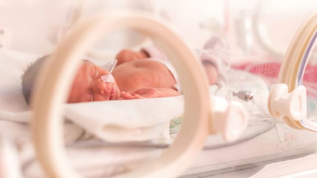 Zika virus could be a cause of miscarriages and stillbirth