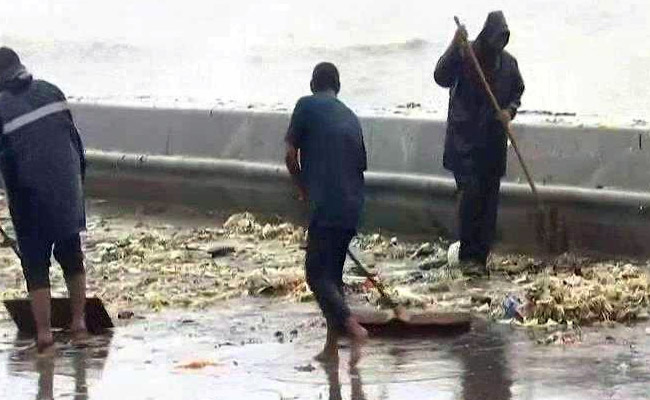 Mumbai's Stinking Problem: Queen's Necklace Turns Into A Dumpyard