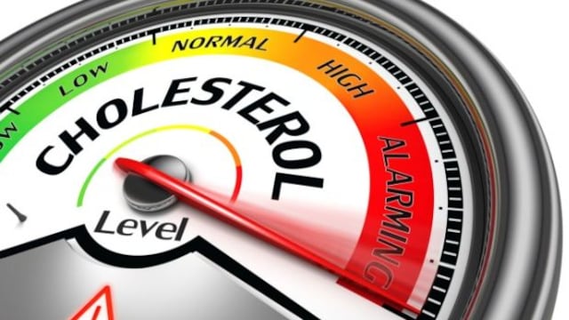 High levels of LDL, total cholesterol and obesity are linked to greater odds of having no children