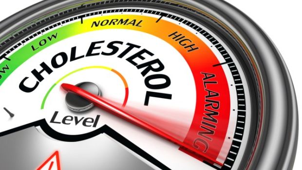 High levels of LDL, total cholesterol and obesity are linked to greater odds of having no children