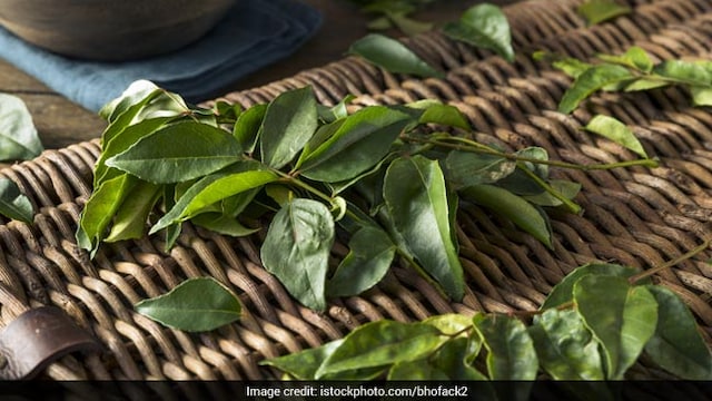 Benefits of curry leaves for weight loss can be achieved by including them in your diet regularly