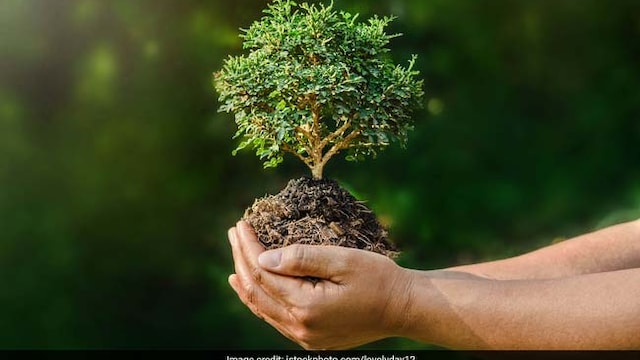 World Environment Day 2018 follows the theme, "Beat Plastic Pollution"