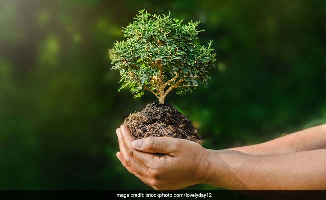 World Environment Day 2018 follows the theme, "Beat Plastic Pollution"