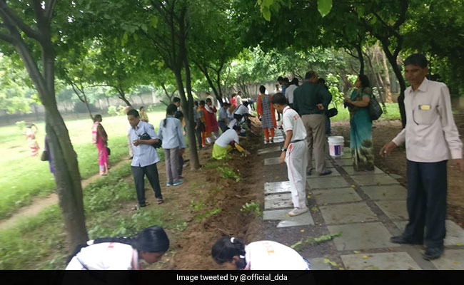 Delhi Government To Plant 5 Lakh Trees In Massive One-Day Drive: Minister
