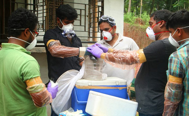 Telangana Sends Blood Samples Of 2 Patients To Pune For Nipah Virus Test