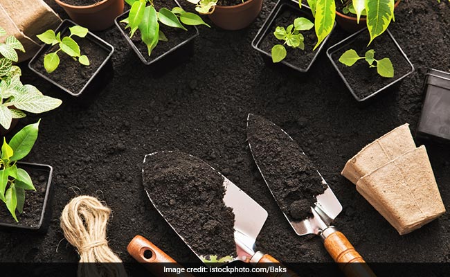 75-Year-Old Sikh Grows World's Longest Cucumber, Prayed To It Everyday