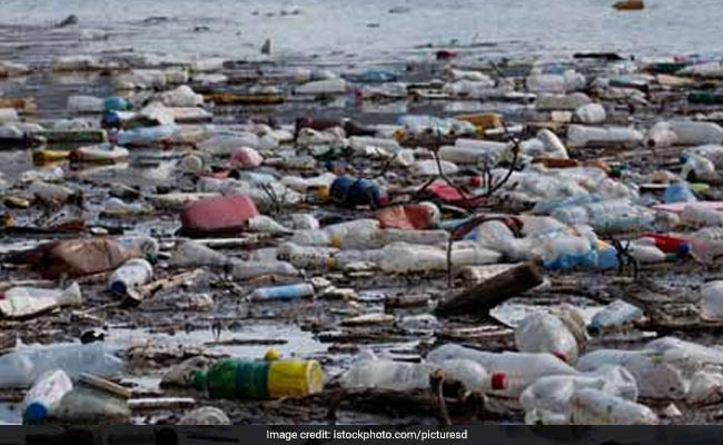 Tamil Nadu To Ban Use Of Plastic Items From 2019