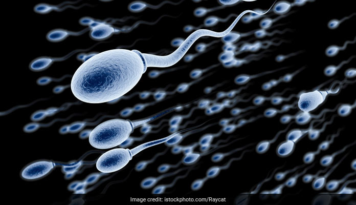 Sperm swims up a chemical gradient to reach the egg