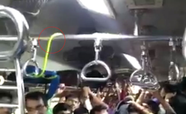 Found Slithering On Overhead Grab Handle In Mumbai Local - A Green Snake
