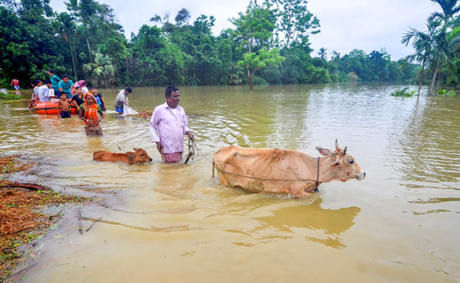 Highlights: People In Relief Camps As Rains Hit North-East, Kerala