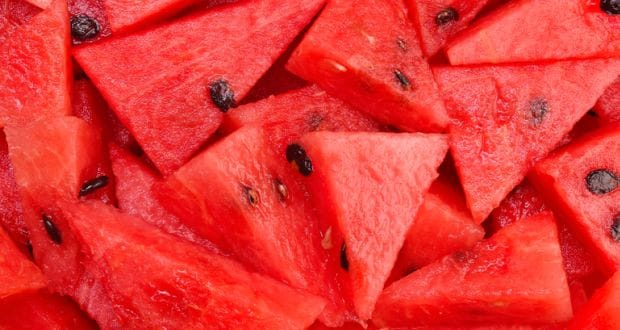 melon d'eau