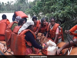 Kerala Woman Refuses Flood Rescue Without Her 25 Dogs Kerala Woman Refuses Flood Rescue Without Her 25 Dogs