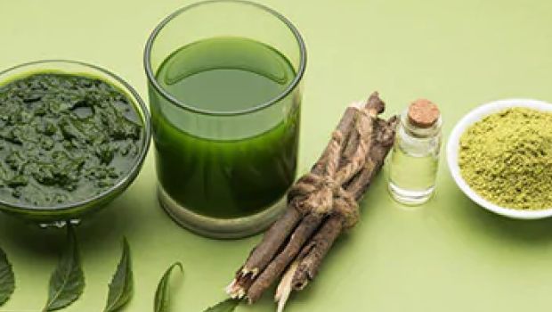 Does Brushing With Neem Twig Help Give You Stronger Teeth and Gums? We Find Out