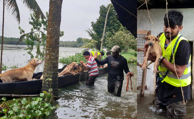केरल में बाढ़ का पानी घटा, राहत एवं बचाव में जुटी एजेंसियों के सामने महामारी रोकने की चुनौती