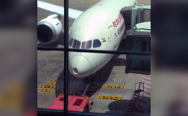 Air India Flight Suffers Bird-Hit While Landing In Chennai