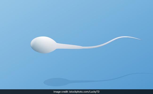 Old Sperm Produces Healthier Offspring, New Study Finds
