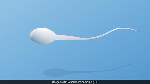 Longer lived sperm can produce healthier offspring: study