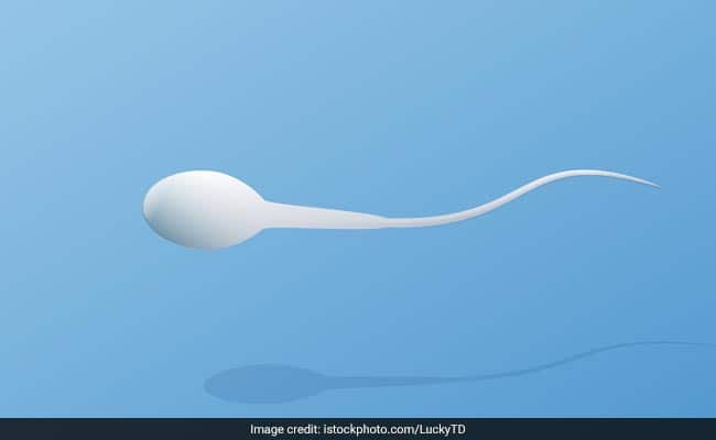 Old Sperm Produces Healthier Offspring, New Study Finds