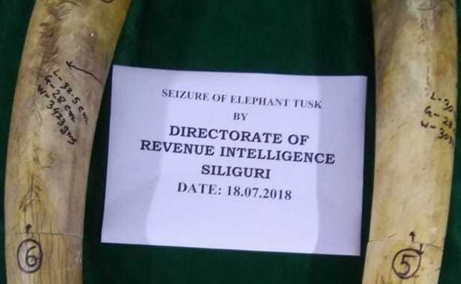 10 kg Of Elephant Tusks Seized In West Bengal, Two Arrested