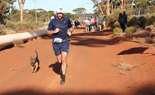 Stray Dog Finishes Australia Half-Marathon, Wins Medal