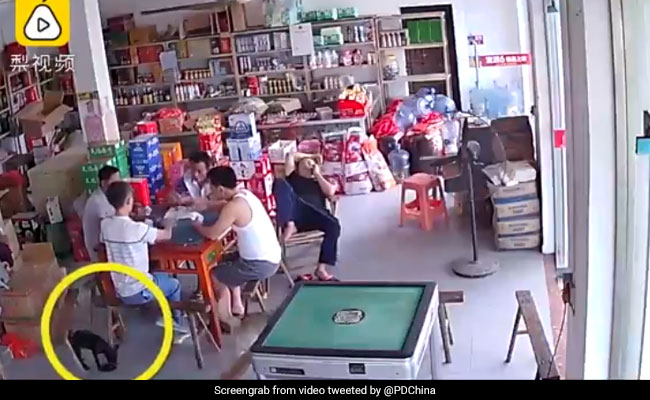 VIDEO: डकैती करने के लिए निकाली बंदूक तो हुआ ऐसा हादसा, आपको भी आ जाएगी हंसी