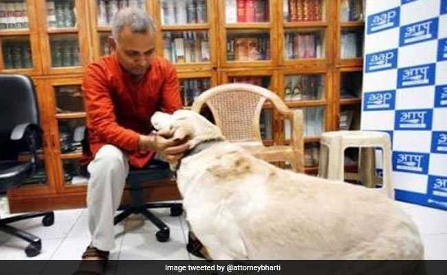 Somnath Bharti's Pet Dog, Once "Wanted" In Domestic Violence Case, Dies