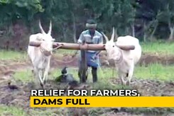 Monsoon This Year Brings Relief For Farmers In Karnataka's Mandya Monsoon This Year Brings Relief For Farmers In Karnataka's Mandya