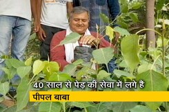 बनेगा स्वच्छ इंडिया:  Give Me Trees के संस्थापक ‘पीपल बाबा’ से खास मुलाकात बनेगा स्वच्छ इंडिया:  Give Me Trees के संस्थापक ‘पीपल बाबा’ से खास मुलाकात