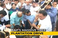 Arvind Kejriwal Launches Mega Drive To Plant 5 Lakh Saplings In A Day Arvind Kejriwal Launches Mega Drive To Plant 5 Lakh Saplings In A Day