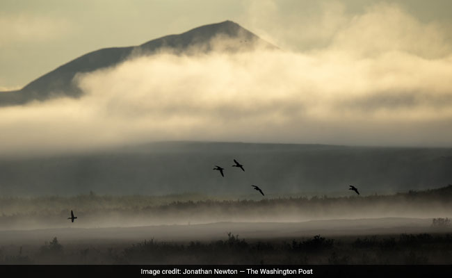 Across The Arctic, Lakes Are Leaking Dangerous Greenhouse Gases