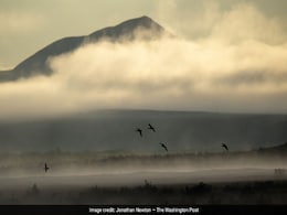 Across The Arctic, Lakes Are Leaking Dangerous Greenhouse Gases Across The Arctic, Lakes Are Leaking Dangerous Greenhouse Gases