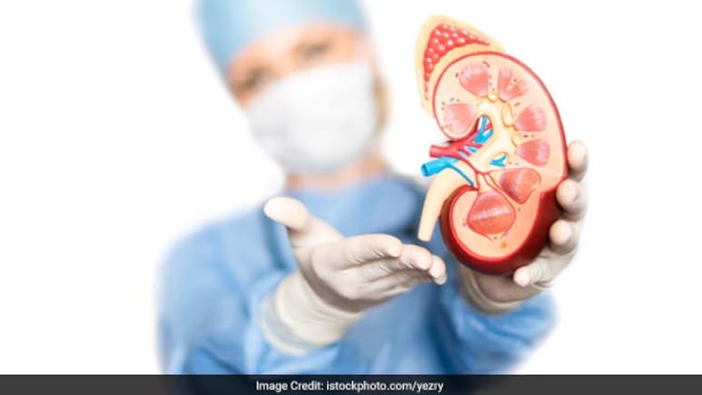 7 Early Signs Of Kidney Disease That Should Not Be Ignored