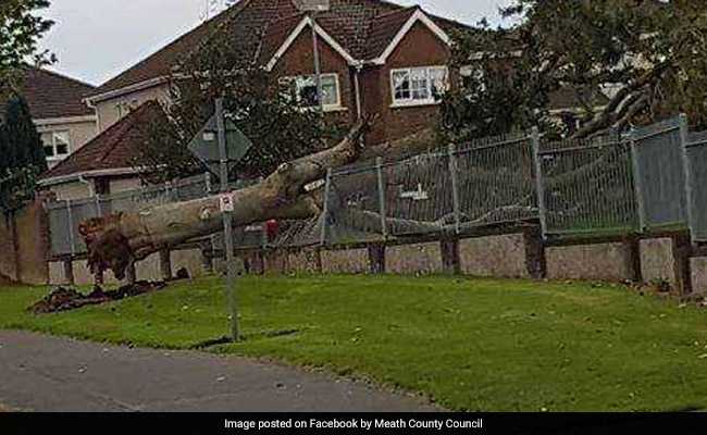 50-Year-Old Woman Dies After Storm Blows Her Caravan Off Cliff In Ireland