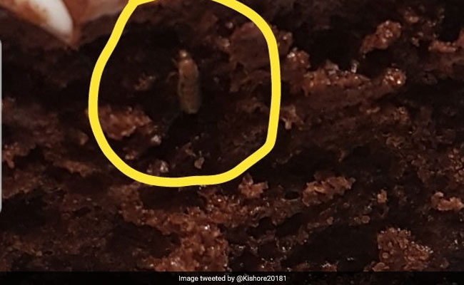 Hyderabad Man Finds Insect In Cake At IKEA, Tweets Video