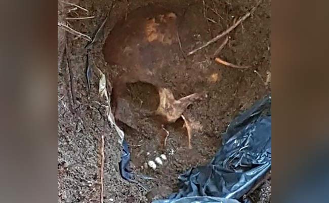 Mass Grave With Over 160 Skulls Could Be "Biggest In Mexico, Even World"