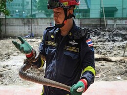 In This Bangkok Locality, It's Not Fire Keeping Firefighters Busy, But... In This Bangkok Locality, It's Not Fire Keeping Firefighters Busy, But...