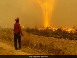 Canadian Firefighters Locked In Tug-Of-War With Firenado Over Control Of Water Hose Canadian Firefighters Locked In Tug-Of-War With Firenado Over Control Of Water Hose