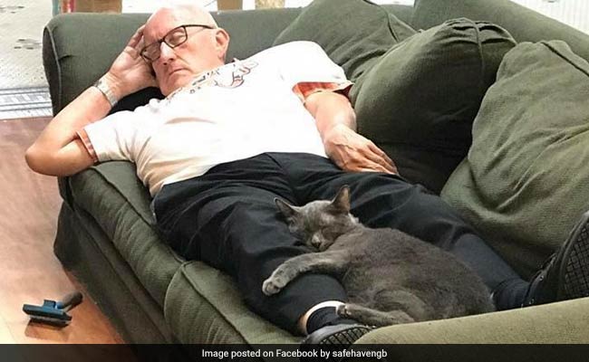 Purr-fectly Adorable Pics Of Volunteer Napping Next To Cats At Shelter Go Viral