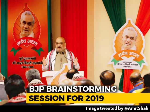 BJP To Fight 2019 Polls Under Amit Shah, Internal Polls Deferred: Sources