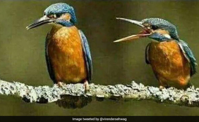 Identify The Husband: Virender Sehwag's Tweet Has Internet In Splits