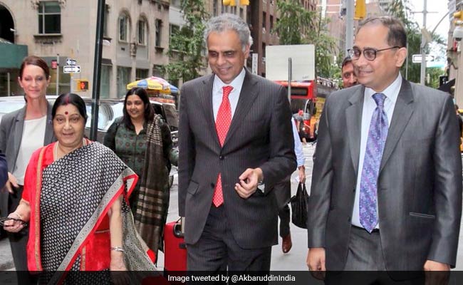 "If Pak Wants To Be One-Trick Pony...": India's Jab Ahead Of UN Meet