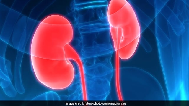 A high-protein diet may worsen kidney function in people who are already suffering fromkidney disease.