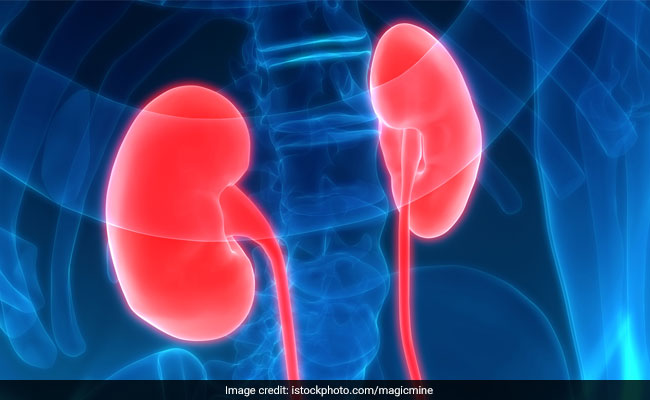 A high-protein diet may worsen kidney function in people who are already suffering fromkidney disease.